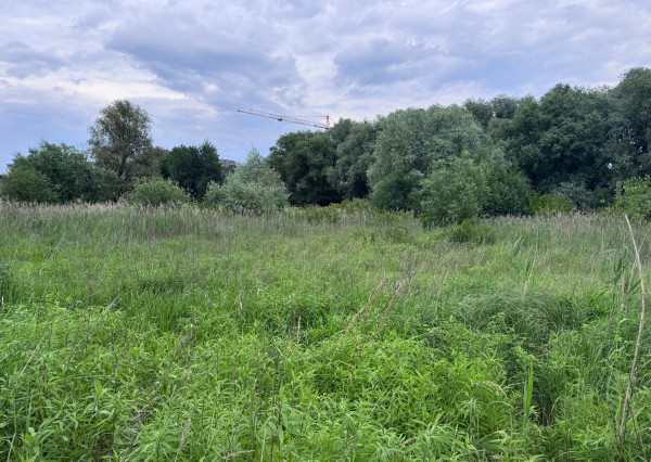 Investičný pozemok 954 m² – Ľubotice