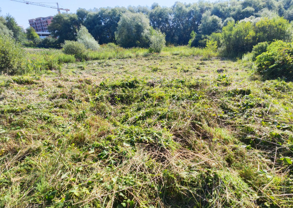 Investičný pozemok 954 m² – Ľubotice