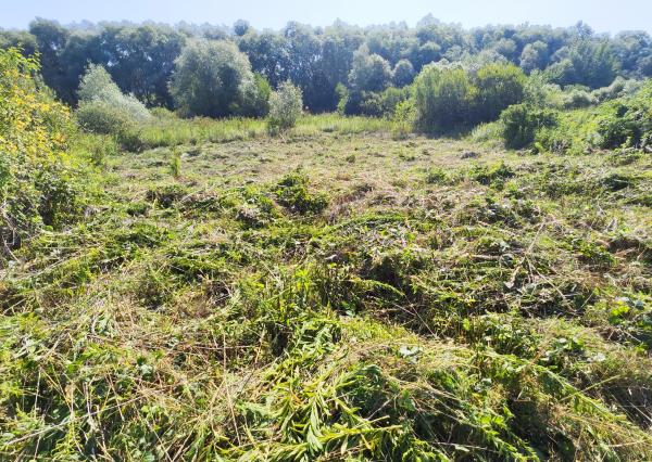 Investičný pozemok 954 m² – Ľubotice