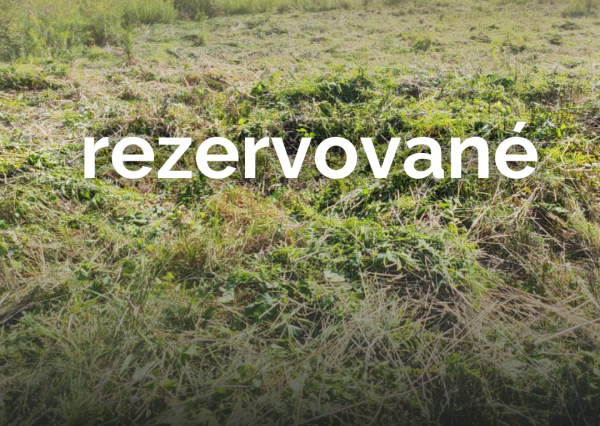 Investičný pozemok 954 m² – Ľubotice