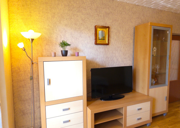 1-izbový byt s 2 loggiami na Triede SNP