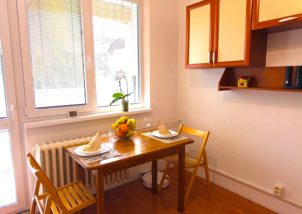 1-izbový byt s 2 loggiami na Triede SNP