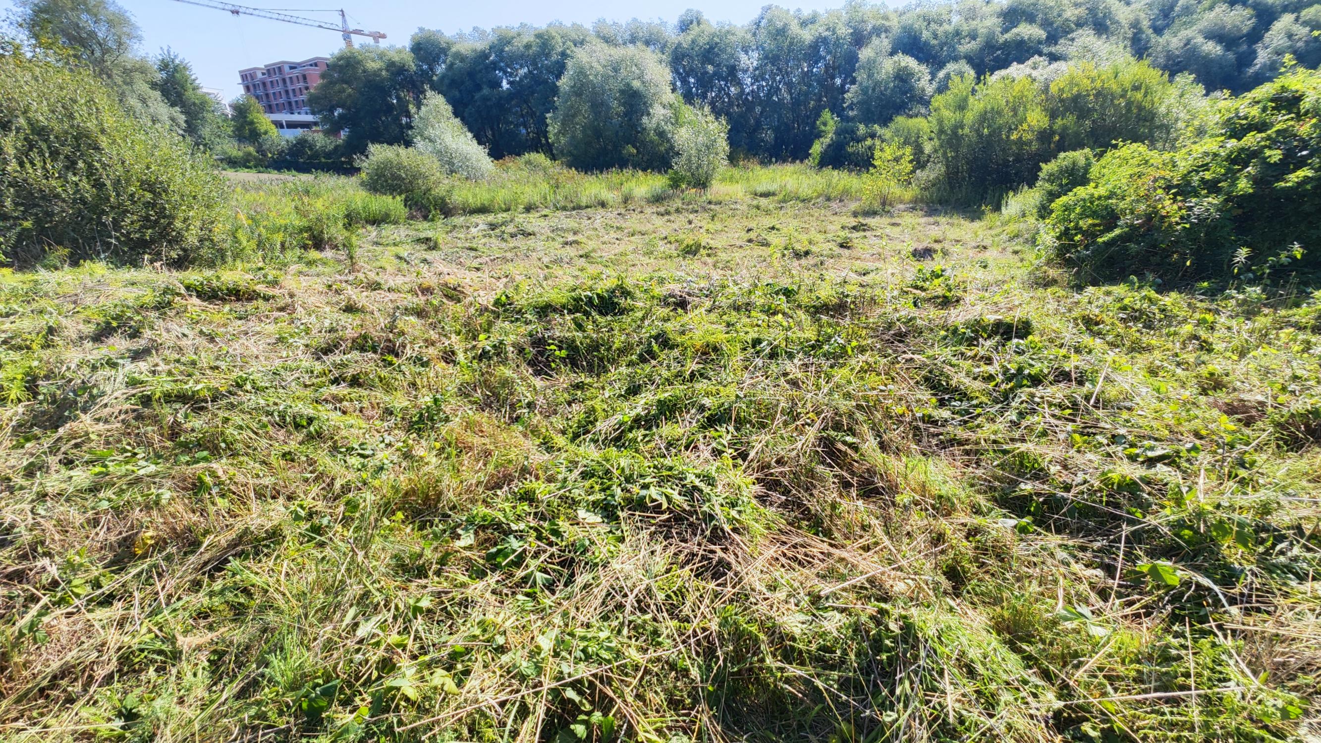 Investičný pozemok 954 m² – Ľubotice